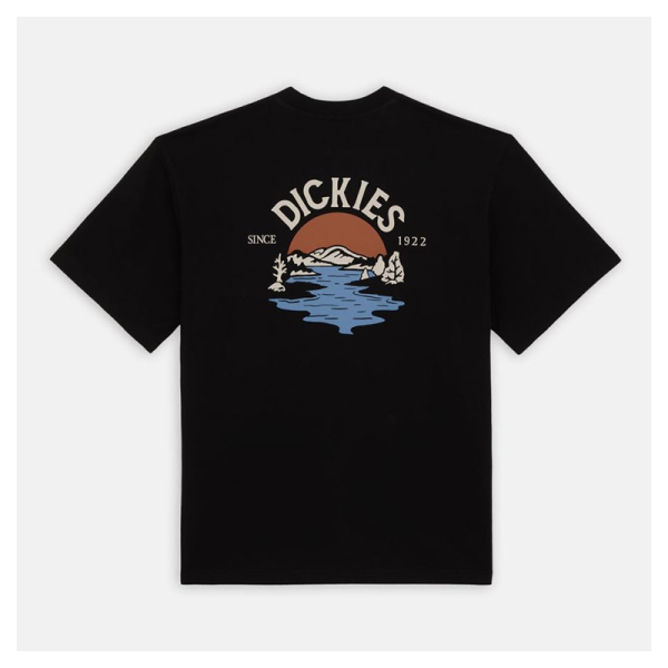 Camiseta Dickies Beach Negra DK0A4YRDBLK